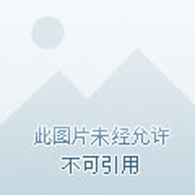 中餐厨师培训：解锁味蕾的艺术